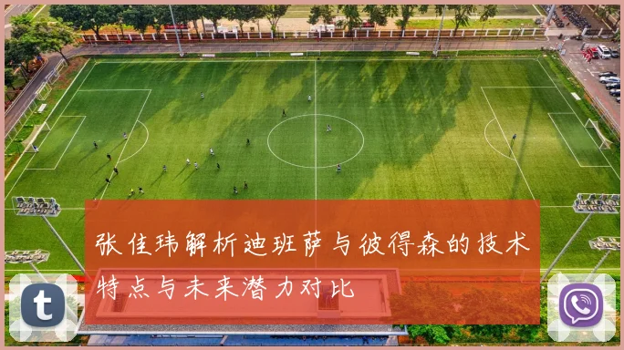 张佳玮解析迪班萨与彼得森的技术特点与未来潜力对比